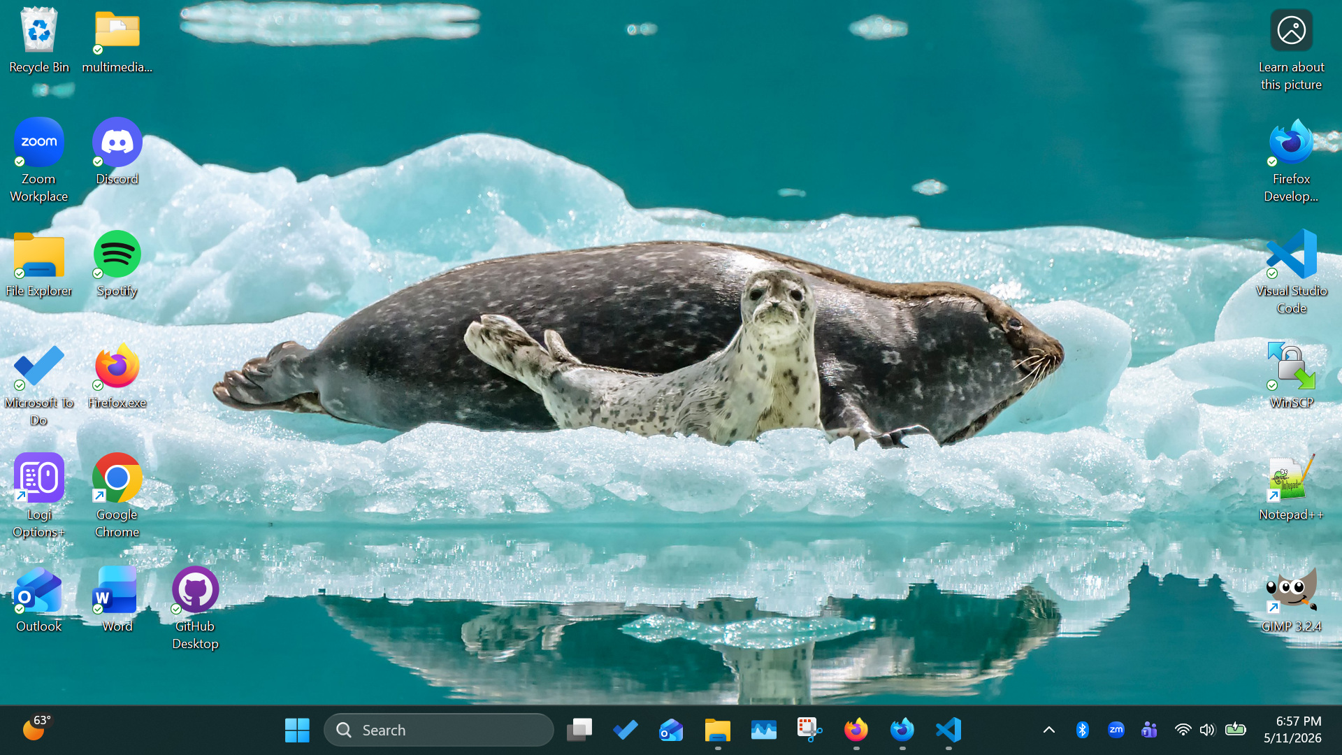 Pictured here is Alia's Display on her PC. There are two seals depicted on it, presumably a mother and her baby.'